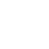 لیزینگ هامرز